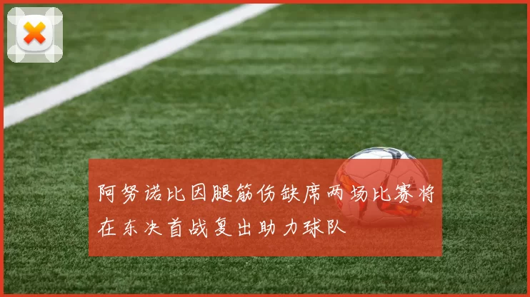 阿努诺比因腿筋伤缺席两场比赛将在东决首战复出助力球队